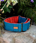 Teal and Orange Martingale Dog Collar