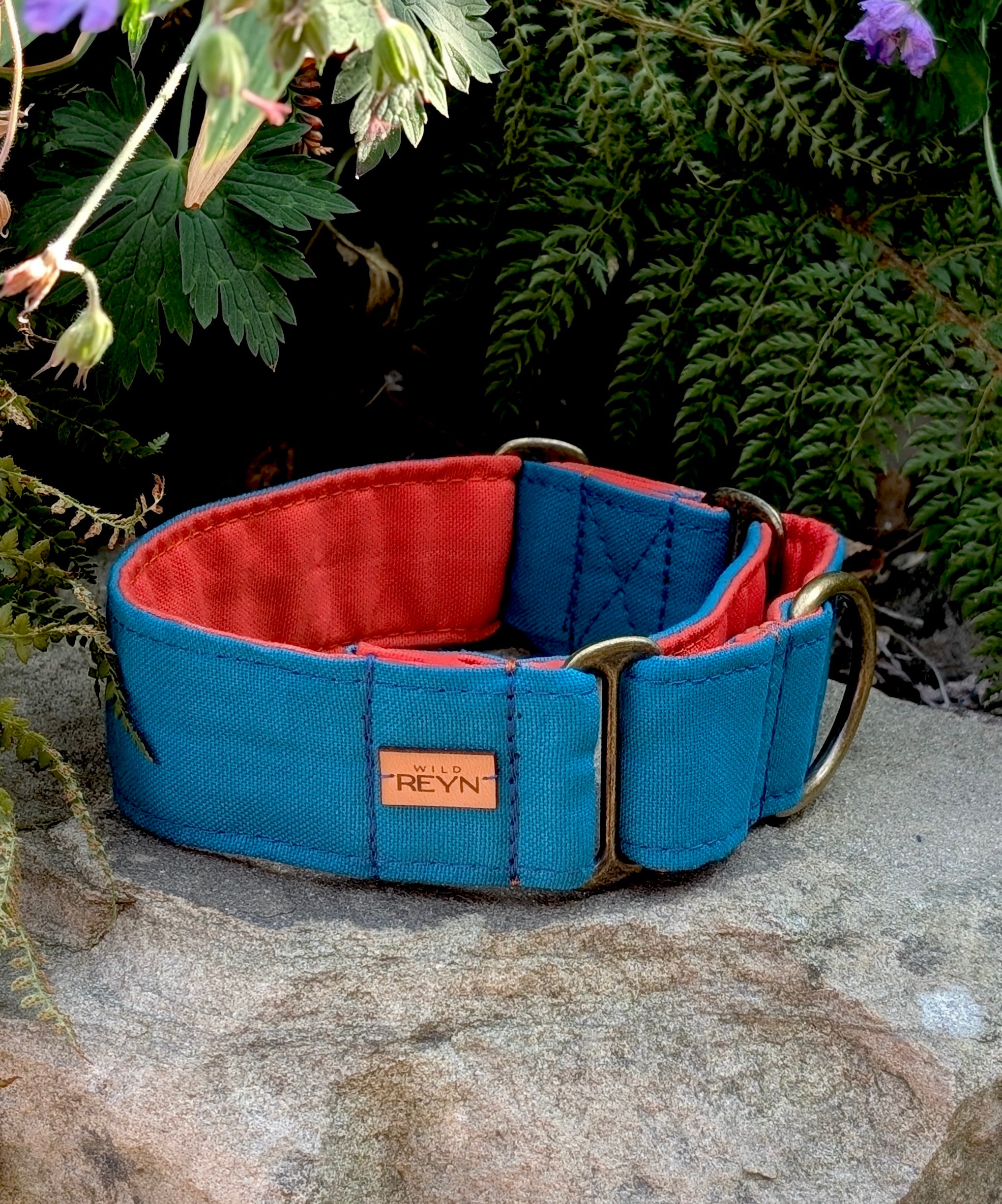 Teal and Orange Martingale Dog Collar