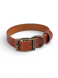 Tan Brown Leather Dog Collar - Antique Brass