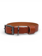 Tan Brown Leather Dog Collar - Gunmetal