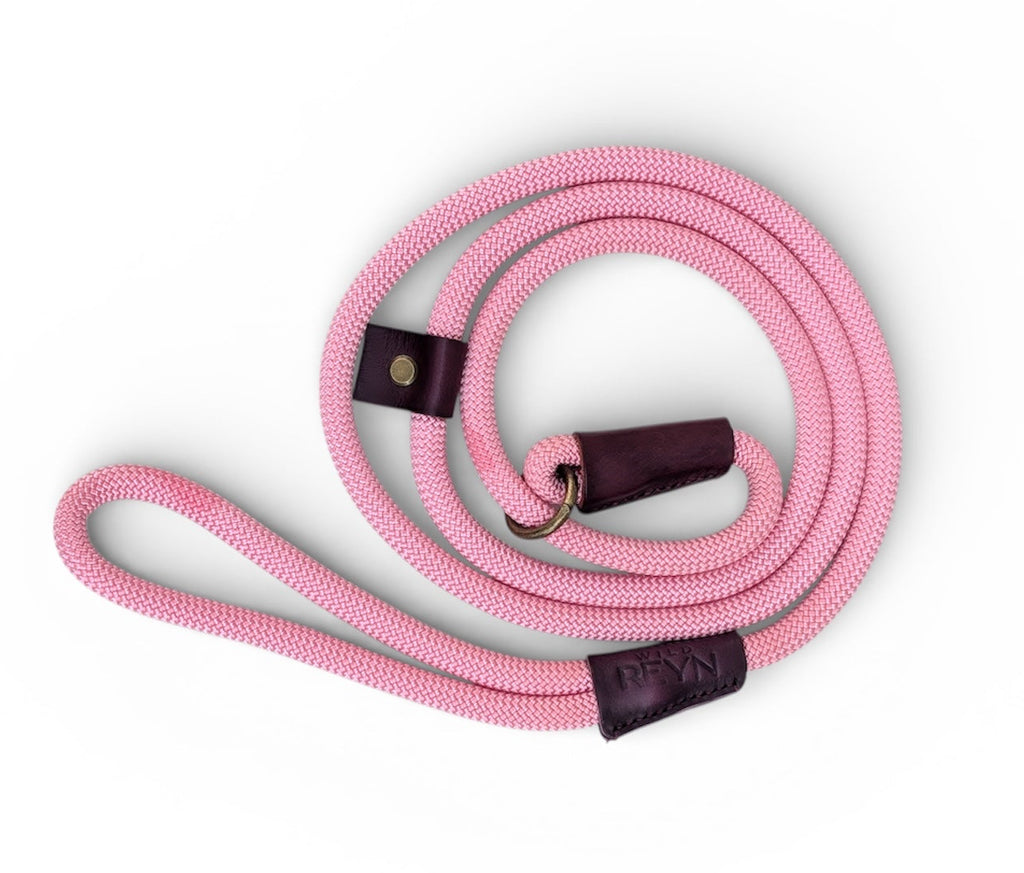 Long Pink Slip lead - Antique Brass