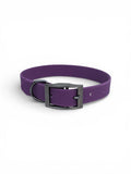 Purple Waterproof collar - Gunmetal