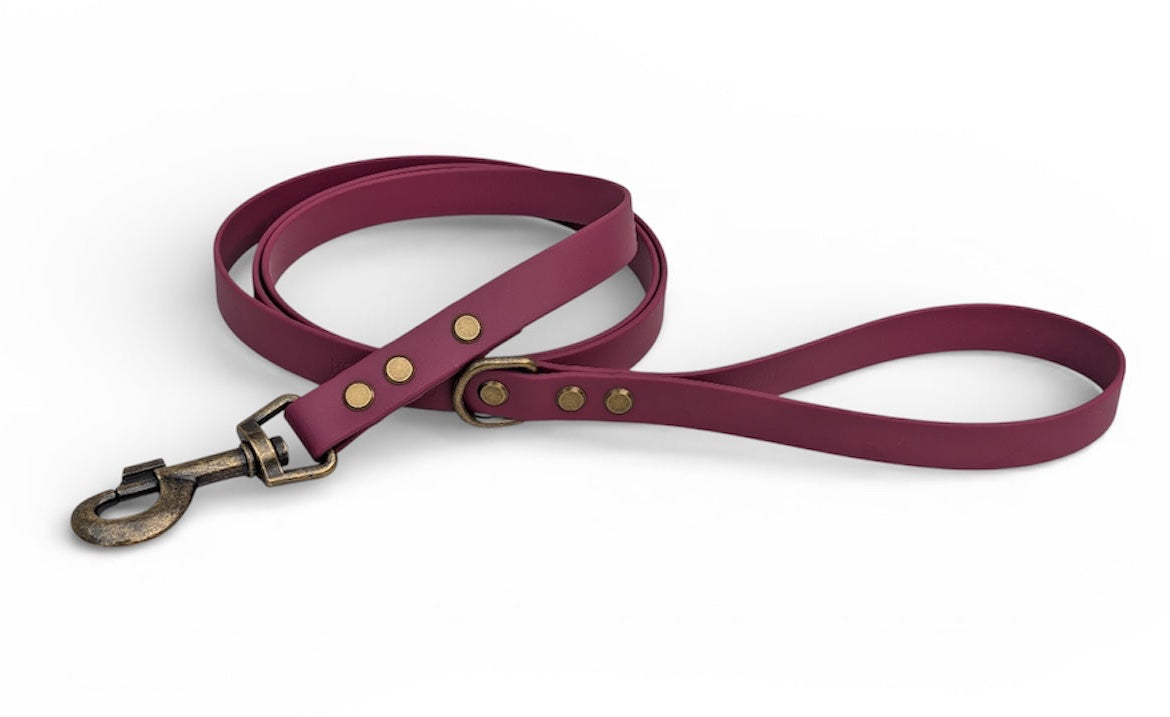 Wine Biothane dog lead - Antique Brass