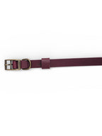 Burgundy Leather Dog Collar - Antique Brass