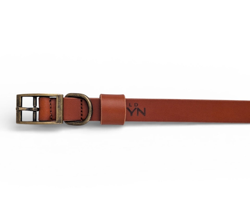 Tan Brown Leather Dog Collar - Antique Brass
