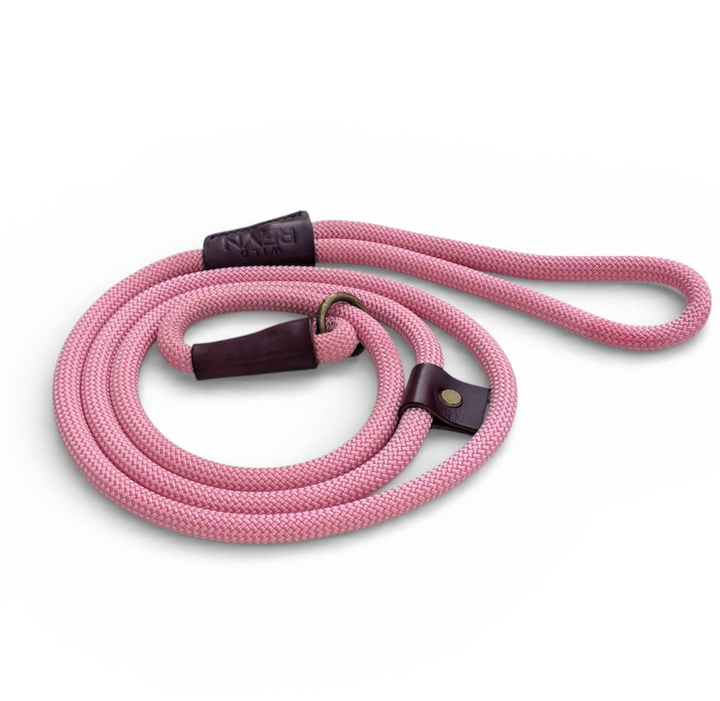 Long Pink Slip lead - Antique Brass