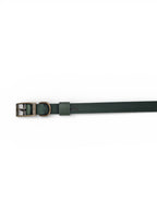 Green Leather Dog Collar - Antique Brass