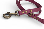 Wine Biothane dog lead - Antique Brass