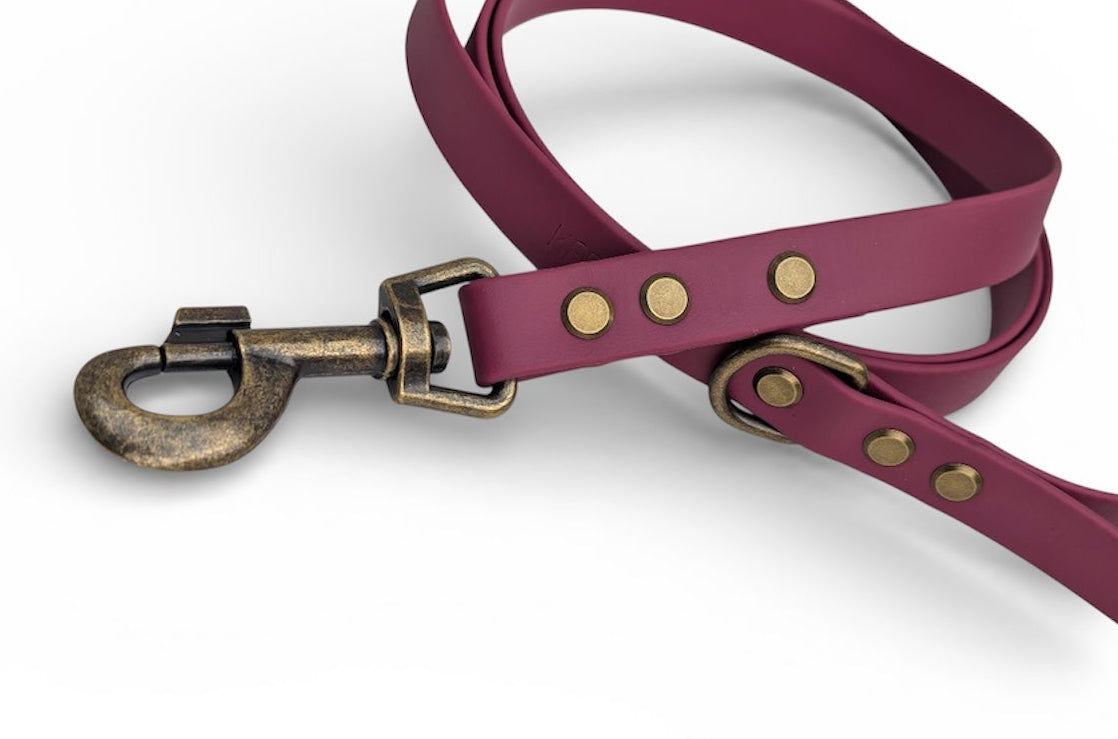 Wine Biothane dog lead - Antique Brass