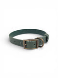 Green Leather Dog Collar - Antique Brass