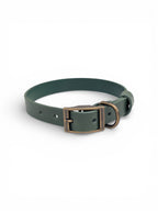 Green Leather Dog Collar - Antique Brass