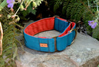 Teal and Orange Martingale Dog Collar
