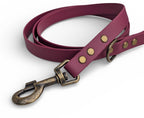 Wine Biothane dog lead - Antique Brass