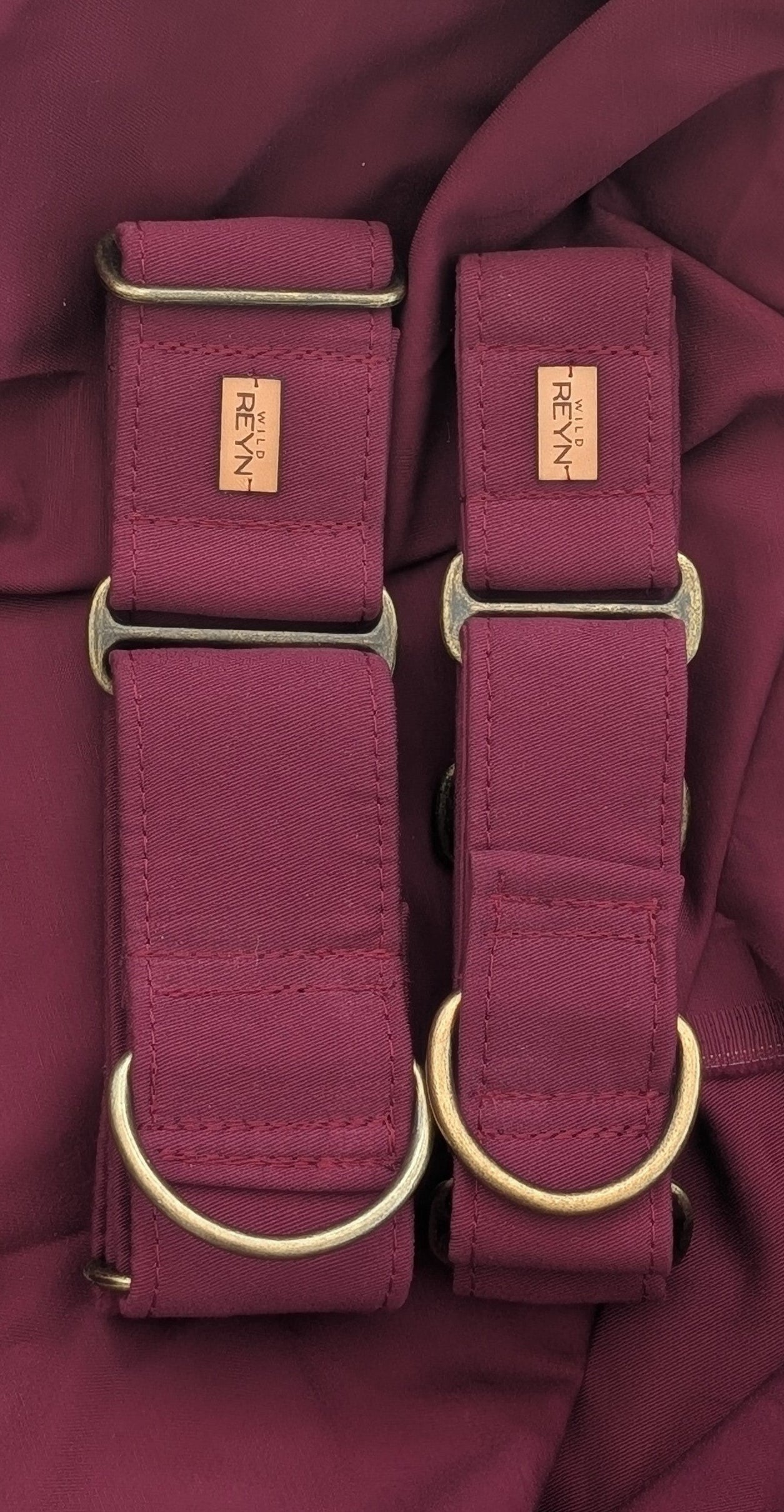 Cherry Martingale Dog Collar