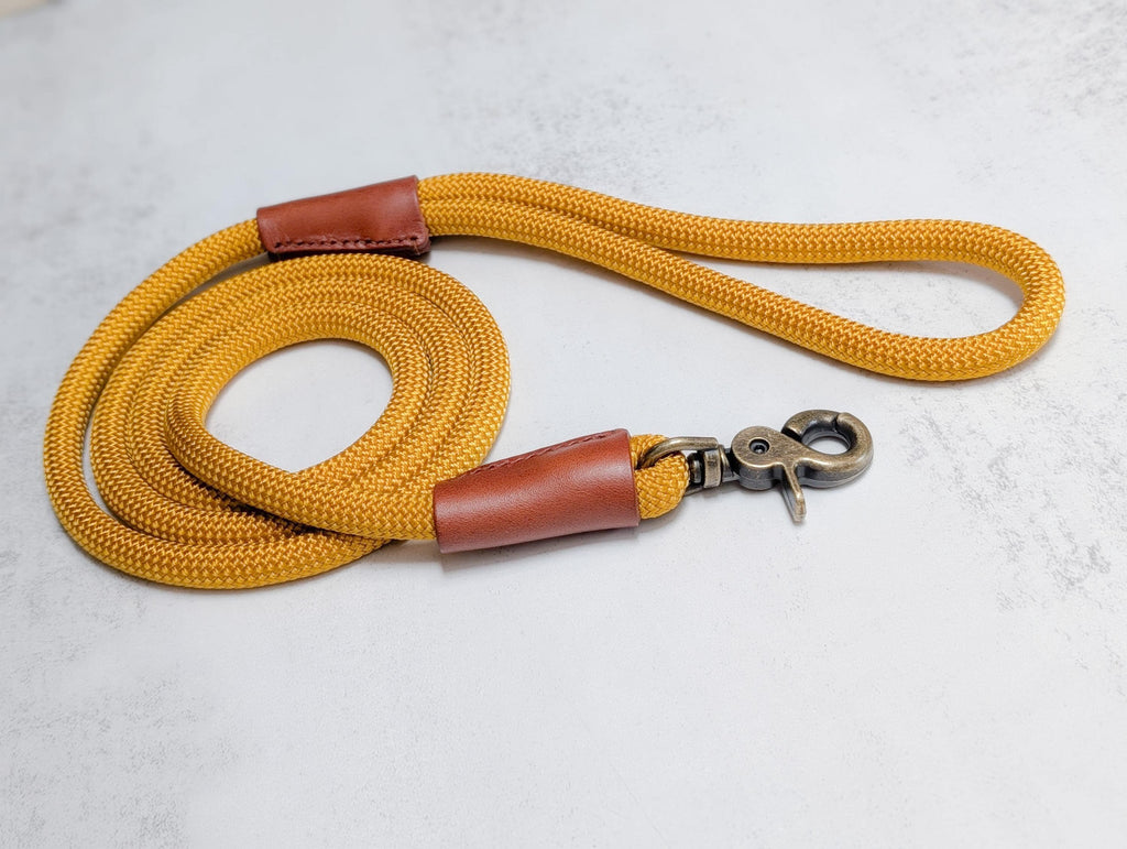 Gold Rope Dog Lead, genuine leather, antique brass clasp, 140cm leash