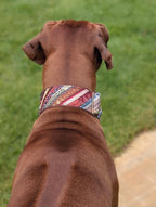 Boho Martingale Dog Collar | Adjustable Dog Collar | Boho Dog Collar | UK Made | Oeko-Tex Webbing
