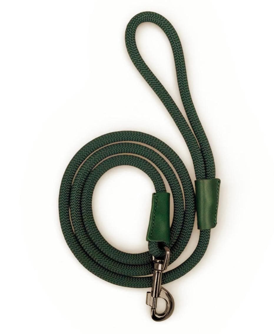 Deep Green Dog Lead - OEKOT-TEX Certified Rope | made in the UK