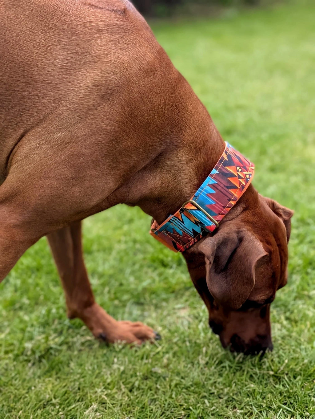Tribal Martingale Dog Collar | Adjustable Dog Collar | Boho Dog Collar | UK Made | Oeko-Tex Webbing
