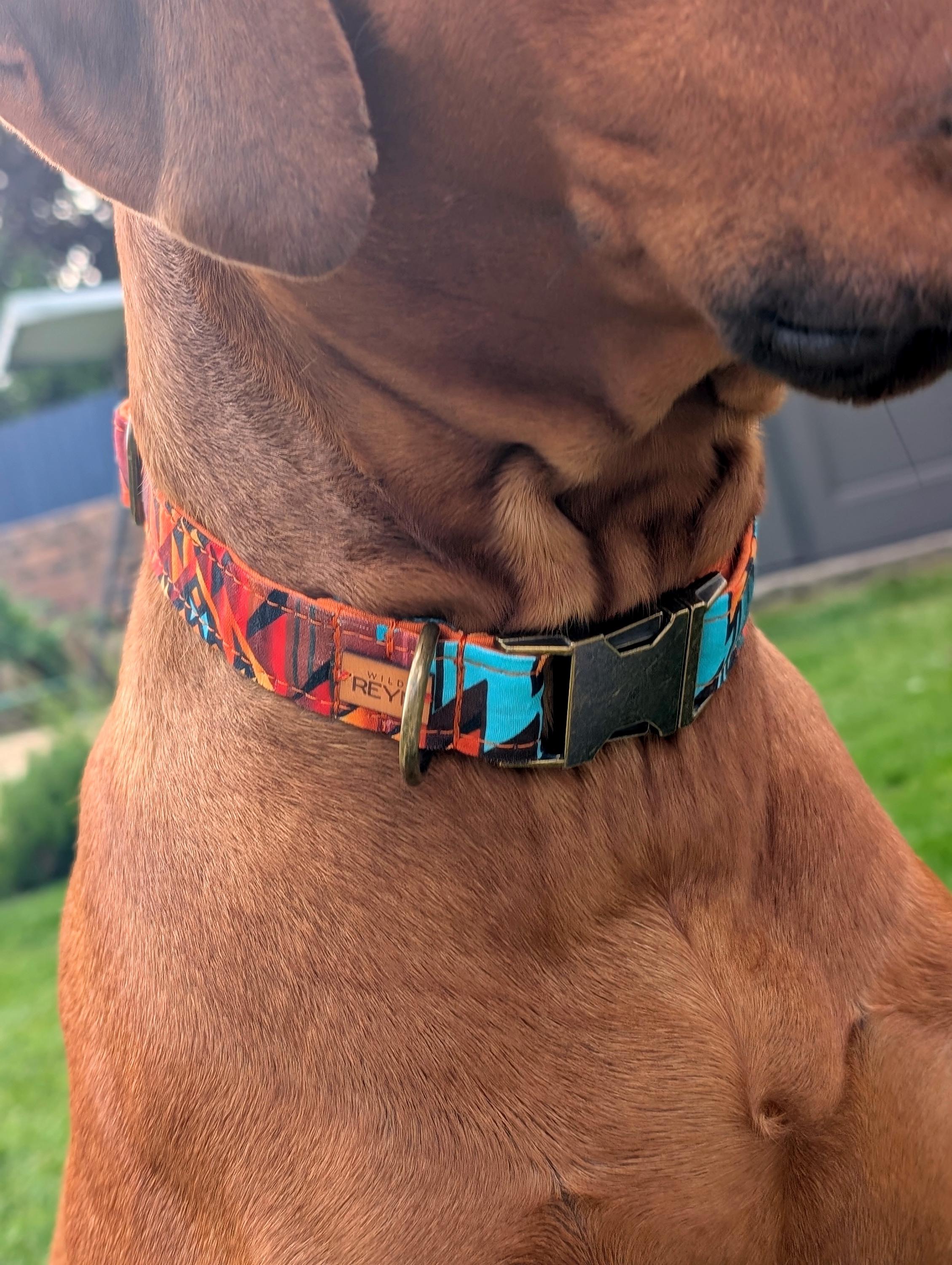 Bright Tribal Dog Collar