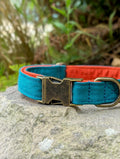 Teal and Orange Dog Collar- Adjustable, Cotton