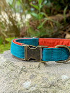 Teal and Orange Dog Collar- Adjustable, Cotton