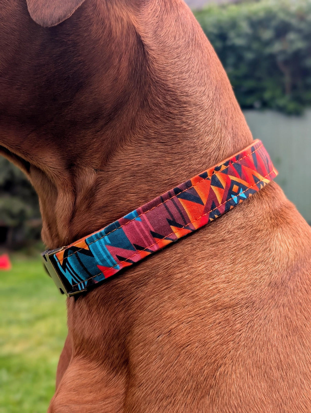 Bright Tribal Dog Collar