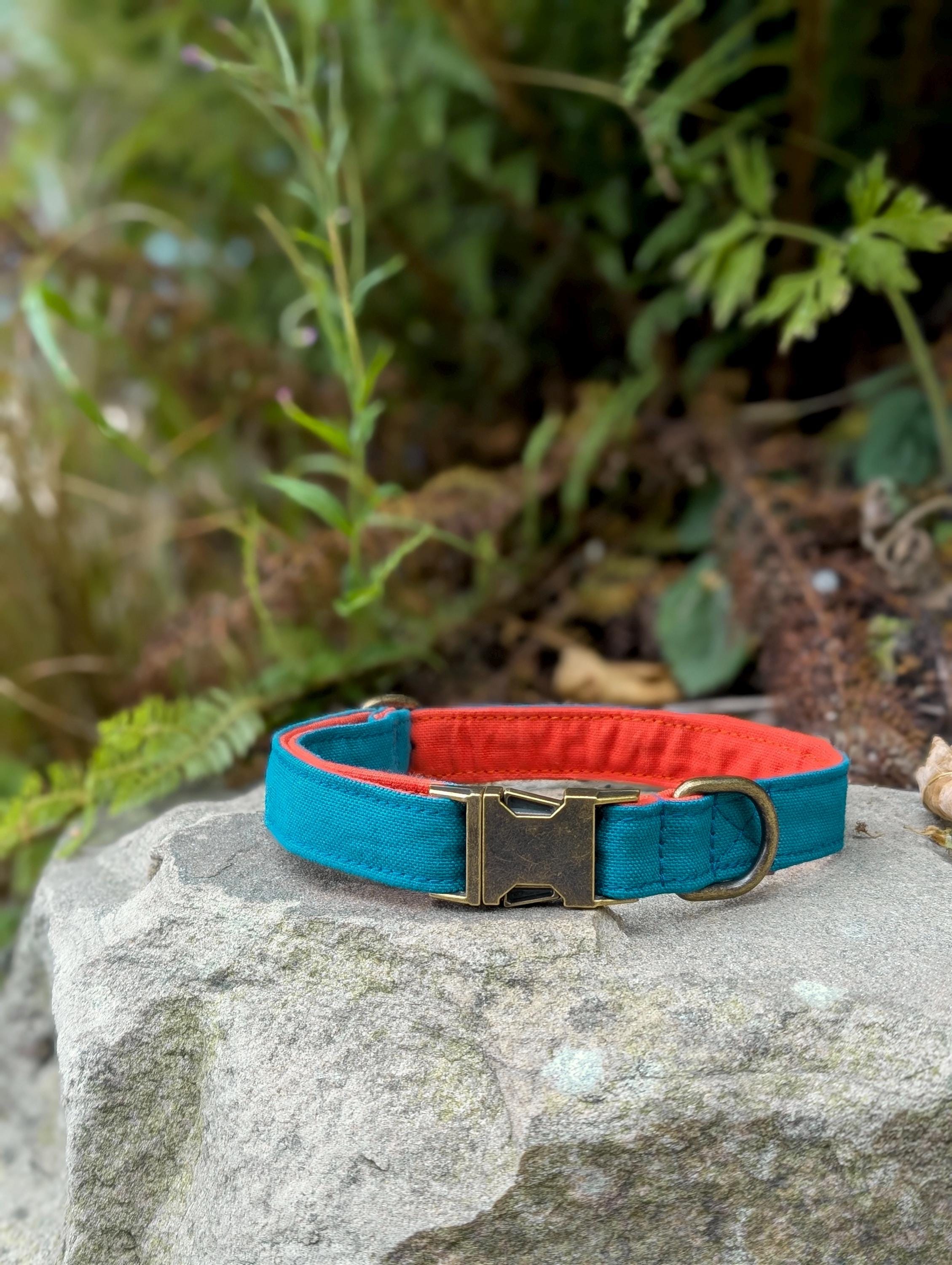 Teal and Orange Dog Collar- Adjustable, Cotton