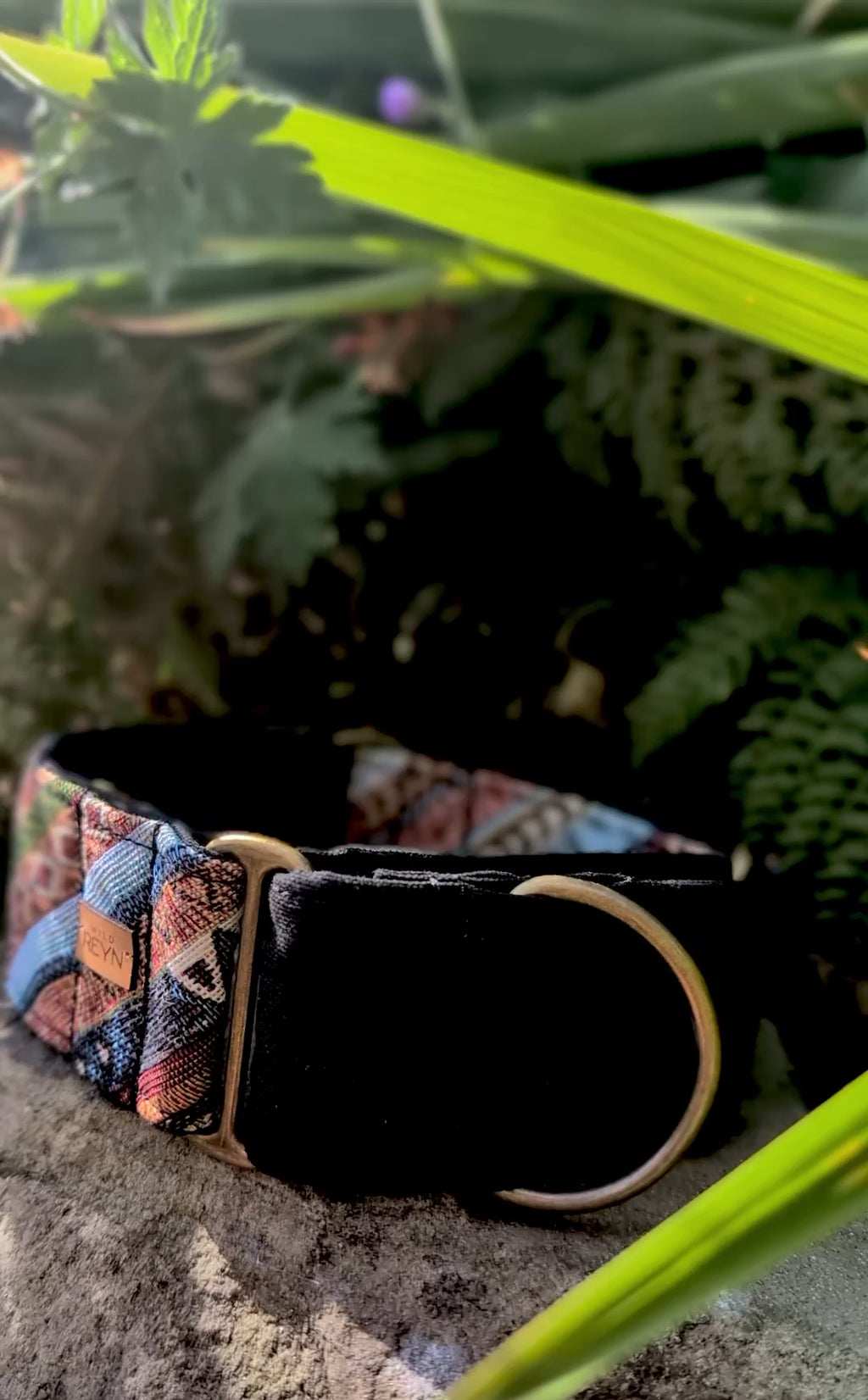 Boho 2.0 Martingale Dog Collar