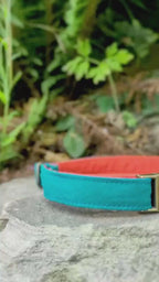Teal and Orange Dog Collar- Adjustable, Cotton