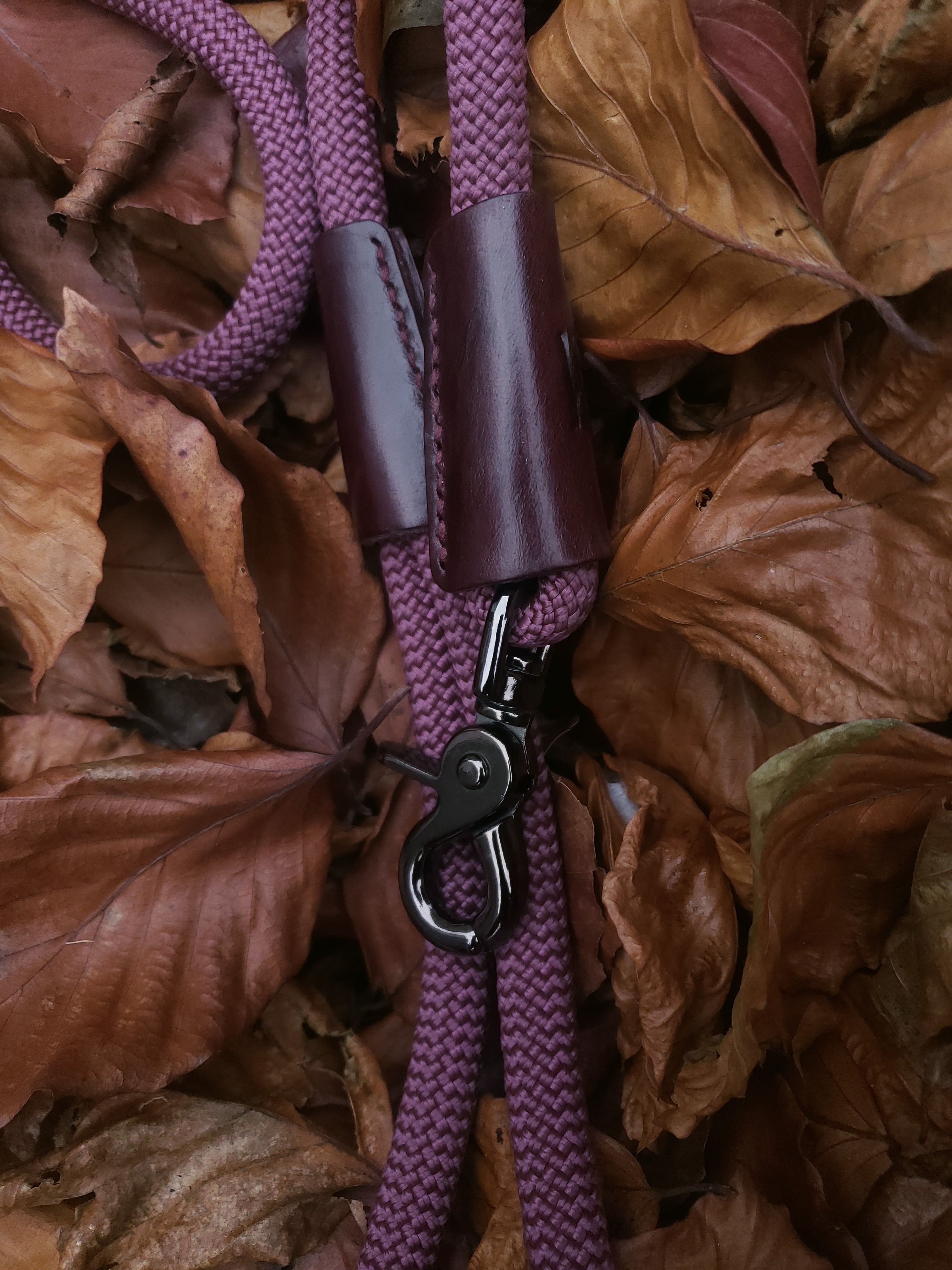 Aubergine Dog Lead - Gunmetal